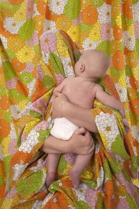 Megan Jacobs, Hidden Mothers