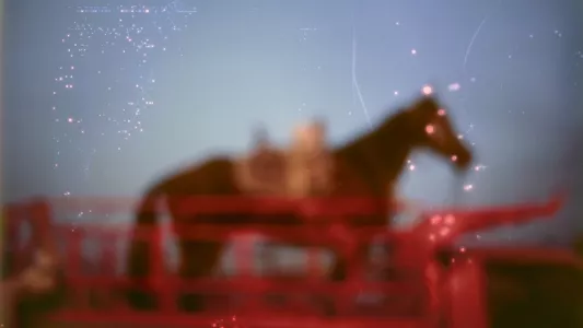 Nan Goldin. My horse, Roma, Valley of the Queens, Luxor, Egypt, is a dye sublimation print on aluminum that is included in the new exhibit. Image courtesy of Nan Goldin and Marian Goodman Gallery.