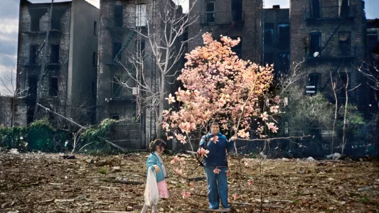 Meryl Meisler, Magnolia Tree.