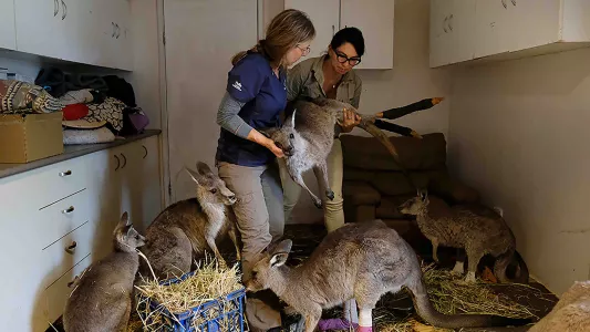 JENNIFER OSBORNE