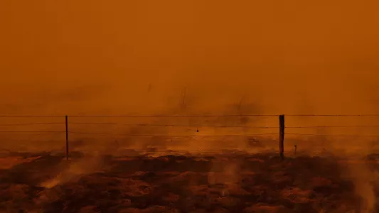 JENNIFER OSBORNE. A bushfire in rural NSW, Australia.