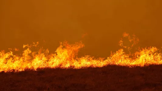 JENNIFER OSBORNE. A bushfire in rural NSW, Australia.