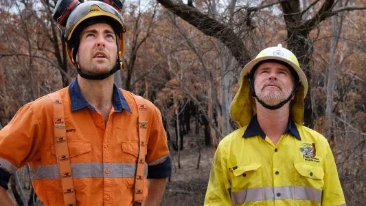 JENNIFER OSBORNE. An arborist (left) and James Fitzgerald of Two Thumbs Wildlife Trust stand to assess a koala rescue.