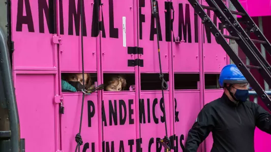 sam davis. Animal Rebellion activists glued inside a pink slaughterhouse truck outside the Department of Health, London 2020